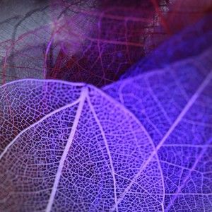 Meet your Posher, Margo